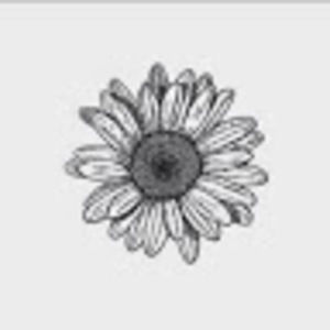 Meet your Posher, Mabel